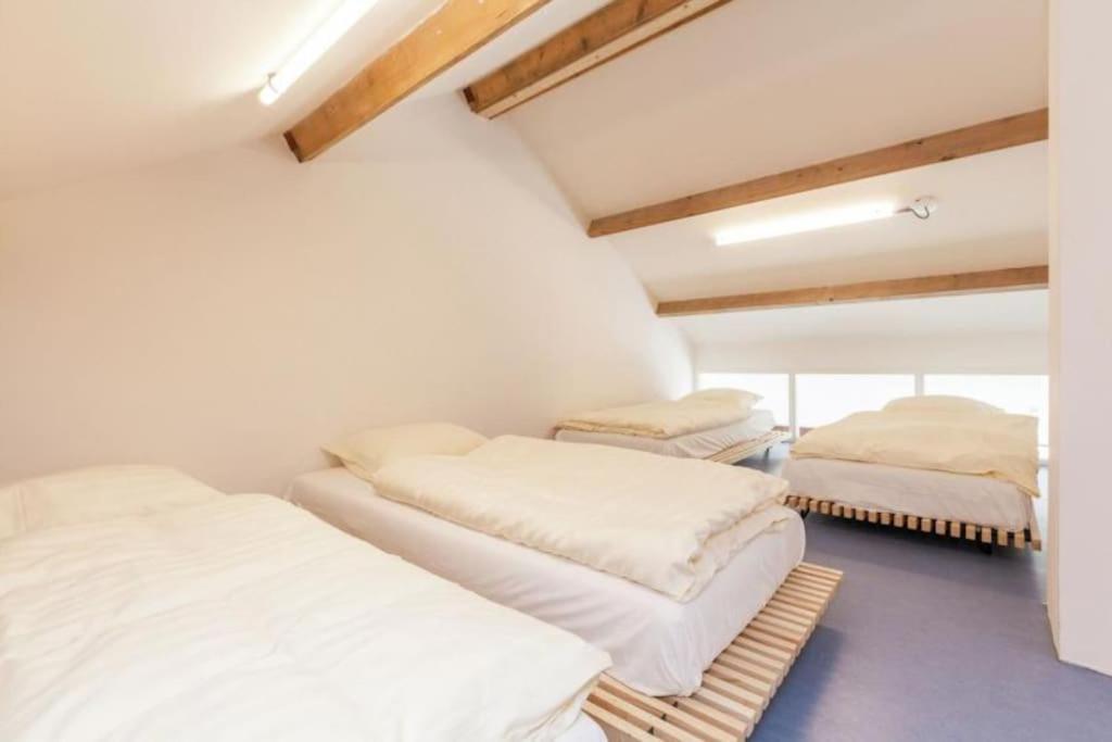 Coccinelle Villa Biggekerke Ngoại thất bức ảnh